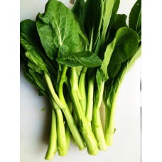 本地长菜心