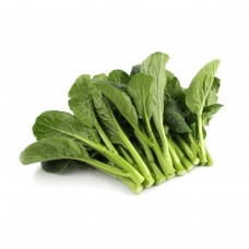 新鲜菜心苗