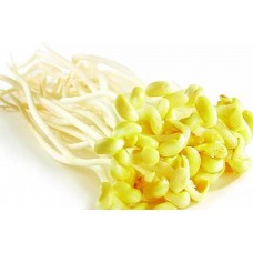 新鲜黄豆芽
