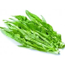 新鲜油麦菜