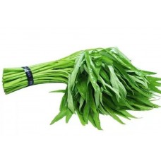 新鲜空心菜