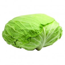 新鲜中国包菜