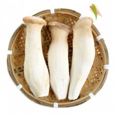 新鲜杏鲍菇