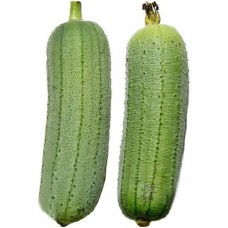 新鲜丝瓜